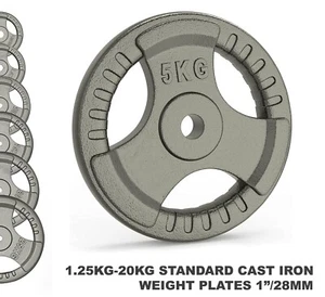 Cast Iron 1.25kg-20kg Fitness Weightlifting Weight Plates Dumbbell Barbell AU - Picture 1 of 13