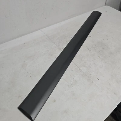 98 - 04 ISUZU RODEO PASSPORT FRONT RIGHT RH EXTERIOR DOOR MOULDING SILVER OEM - Image 1 of 4