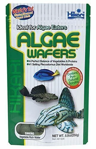 Hikari tropical Algae Wafer - 8.8oz