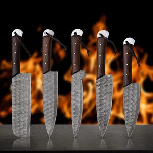 5 Pieces Hand Forged Damascus Steel Chef Set, Kitchen set knife wood handle - Imagen 1 de 3