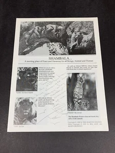 Tippi Hedren Autograph, Signed, Inscribed Pamphlet PSA/DNA, GRADE 7, NEAR MINT - Picture 1 of 7