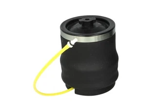 Sprężyna gazowa, fotel kierowcy MONROE SD0008 - Zdjęcie 1 z 1