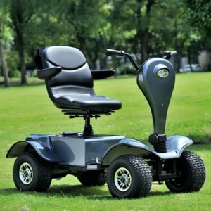DM418 All-Terrain Multi-Function Off Road Mobility Scooter Golf Cart ATV Buggy - Picture 1 of 22