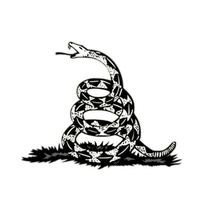 Snake Dont Tread On Me Decal Sticker Window Car Truck Gadsden Flag US Freedom 2A - Picture 1 of 4
