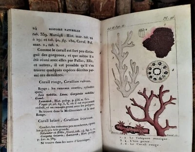 1827 BUFFON NATURAL HISTORY OF CORAL POLYPS, PLANTS CLASSIFIED BY FAMILIES - Image 1 of 4