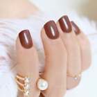 SHORT *CHOCOLATE* Full Cover Brown Gloss 24 Nails Tips Press On Glue Set!