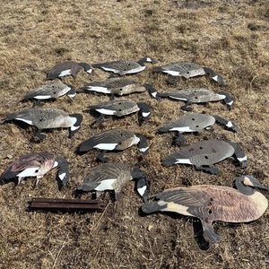 OUTLAW KÖDER ECHTE GÄNSE KANADISCHE GANS GÄNSE SILHOUETTE x14 - Bild 1 von 6