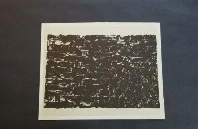 Jasper Johns "Flag I" montado en blanco y negro litografía 1973 placa firmada Foto 1 de 4