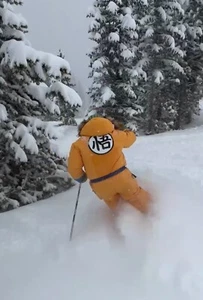 Goku Snowsuit. Insulated Ski Snowsuit. DragonBall. Snowboarding. Plus size 4XL - Picture 1 of 23
