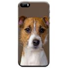 Azzumo Jack Russell Terrier Dog Soft Ultra Thin Case Cover For the Apple iPhone