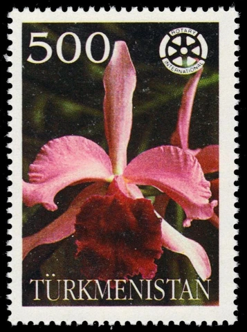 TURKMENISTAN Dt1997 - Rotary International "Orchid Flowers" (pb63701) Cover
