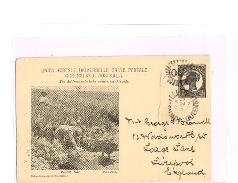 1898 11/2d Postal View Card Pineapple Field from Townsvile (Duplex) to London Cover