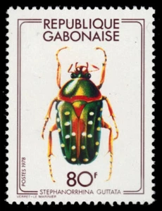 GABON 407 - Spotted Flower Beetle "Stephanorrhina guttata" (pb98492) - Picture 1 of 1
