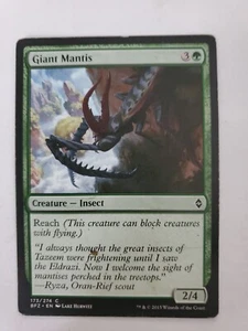 MTG Magic The Gathering Card Giant Mantis Creature Insect Green Battle Zendikar  - Picture 1 of 2