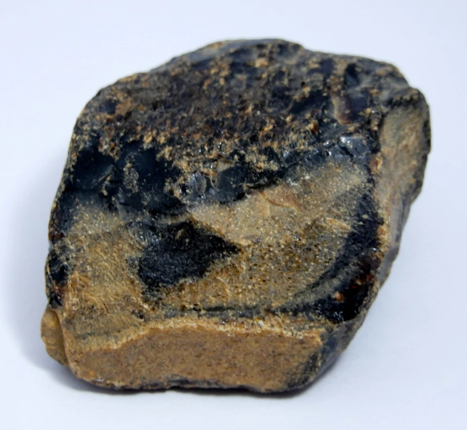 148.90 CT Naturale EGL Certificato Ambra Baltica Traslucido Rough Sfuso Gemma W7 - Immagine 1 di 4