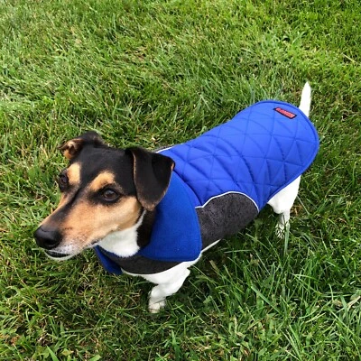 Chaqueta acolchada azul pequeña Kong para perro Foto 1 de 4