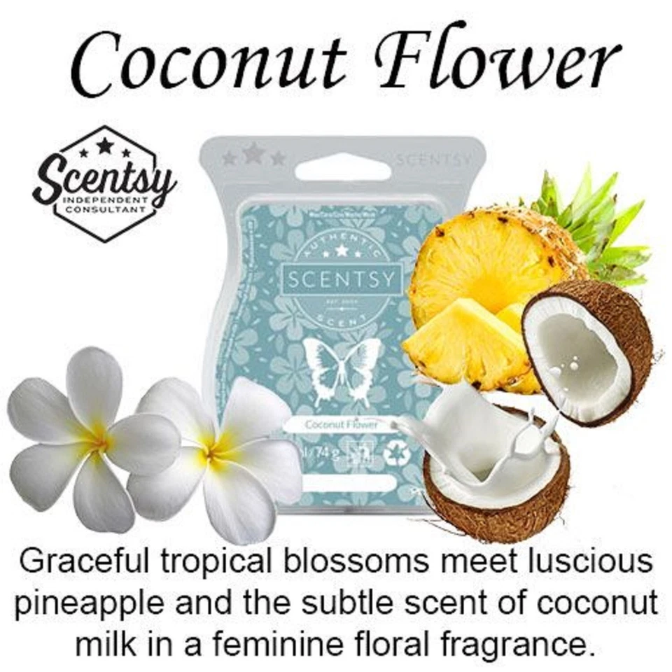 SCENTSY Bar COCONUT FLOWER Wax Melt  3.2oz  Bar Wax Pack NEW - Image 1 of 1