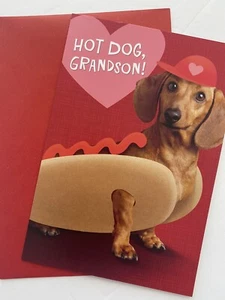 New Dachshund Valentine’s Day Grandson Greeting Card Hallmark - Picture 1 of 3
