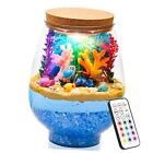 Light-Up Terrarium Arts and Crafts Kit for Kids,Remote Birthday Gifts Diver