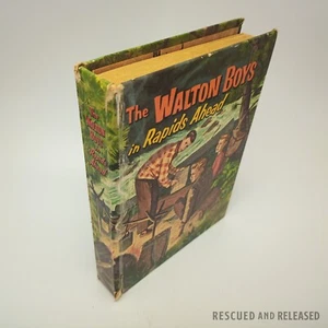 1958 The Walton Boys in Rapids Ahead by Hal Burton Hardcover Whitman Publishing - Picture 1 of 11