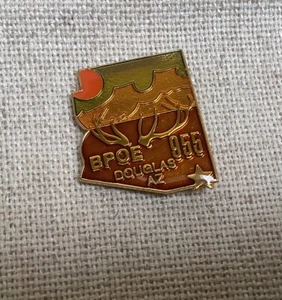 BPOE Elks Lodge 955 Douglas Arizona Sombrero Solapa Pin Pinback - Imagen 1 de 2