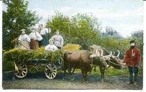 Russland Familie Rückkehr vom Feld auf Ochsenwagen vor 1. Weltkrieg Postkarte - Bild 1 von 3