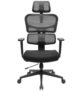 Eureka Ergonomic OC12 Office Chair Self Adaptive Lumbar Support High Quality New - Picture 1 of 1