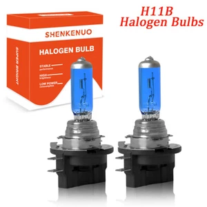 H11B Halogen Headlight Bulbs Kit For Hyundai Veloster 2012-2015 Low Beam 4200K - Picture 1 of 9