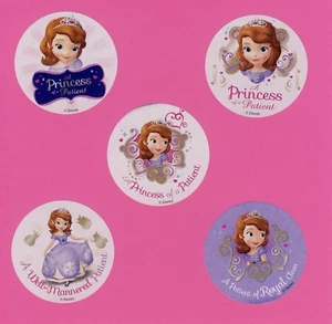 15 pegatinas grandes de la princesa Sofía la primera paciente de Disney - recompensas - médicas - Imagen 1 de 1