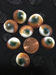 8 conchas de opérculo antiguas ~ estado usado ojos de gato artesanías arte fabricación de joyas ~ - Imagen 1 de 6