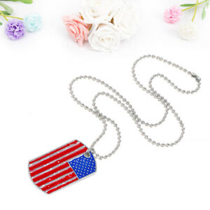  Halskette Mit Amerikanischer Flagge Anlaufgeschützte Eine Berühmtheit