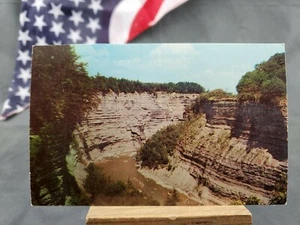 Unused 3½x5½ Postcard High Banks Of Genesee River - Picture 1 of 2