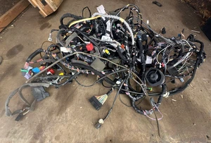 Renault Megane Scenic 2.0 16V Petrol 2006 Main Wiring Harness 8200 569 382 - Picture 1 of 4
