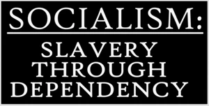 ANTI-SOCIALISM BUMPER STICKER DECAL - SLAVERY THROUGH DEPENDENCY - TRUMP 2024 - Picture 1 of 1