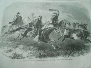 Gravure 1857 - Les gauchons argentin - Picture 1 of 1