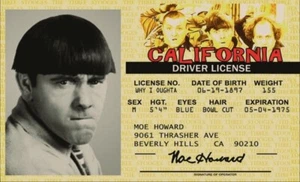 Moe Howard,Three Stooges Drivers License 3.4” X 2.2” Laminated ID Card. - Picture 1 of 2