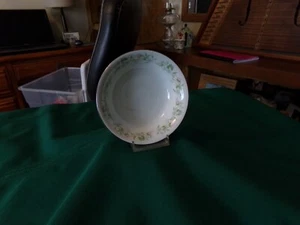 Johann Haviland "Forever Spring" Floral Rim & Platinum Rim, Dessert Bowls - Picture 1 of 4