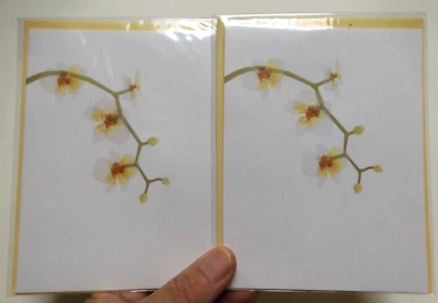 2 Cards Papyrus High Quality Beautiful Orchid Flowers Blank Inside - Image 1 of 4