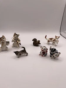 Miniaturkatzen (6) und Eichhörnchen (1) - Bild 1 von 21