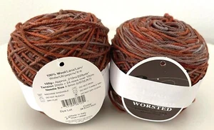 LOT of 2 Ella Rae Lace Merino Wool Yarn Brown Multi Extrafine Superwash Italy - Picture 1 of 3