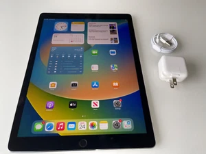 Apple iPad Pro 12.9" 2nd Gen (WiFi) 256GB Space Gray - Picture 1 of 22