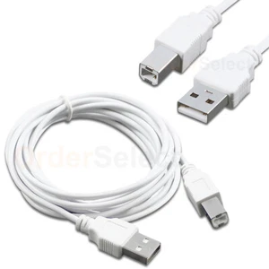 CABLE DE IMPRESORA USB 2.0 A A B BLANCO DE ALTA CALIDAD DE 10 PIES ESTÁNDAR 10 PIES - Imagen 1 de 5