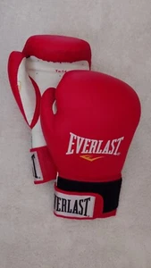 Everlast Boxing Gloves And Powerstar Pads - Picture 1 of 10