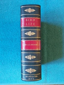 Bird-Life by Dr. A.E. Brehm, Van Voorst 1874, rebound half morocco leather - Picture 1 of 24