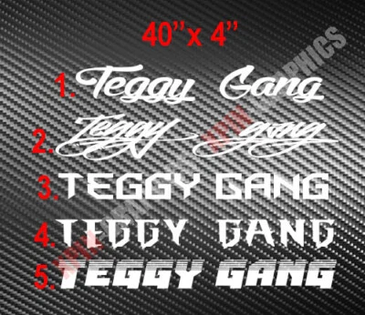 Calcomanía adhesiva de vinilo parabrisas Teggy Gang JDM Banner coche se adapta a Acura Integra Foto 1 de 3