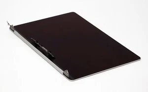 Fabricante de fabricante de equipos originales Apple MacBook Pro 16" Pantalla LCD 2019 Conjunto de pantalla gris plateado - Imagen 1 de 3