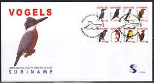 Surinam - Suriname Issue FDC 2008 (316XX) Birds - Picture 1 of 1