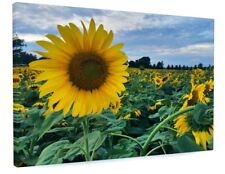 SUNFLOWER FLORAL CANVAS PICTURE PRINT WALL ART