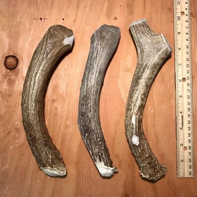 HIGH COUNTRY ANTLERS Grade A -Super Dense Brown JUMBO MULE DEER Antler Dog Chew/Treat- free shipping