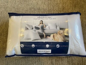 Phantoscope 20 x 20 Pillow Inserts Pack of 2 Square Form Water Square Form Throw - Picture 1 of 3